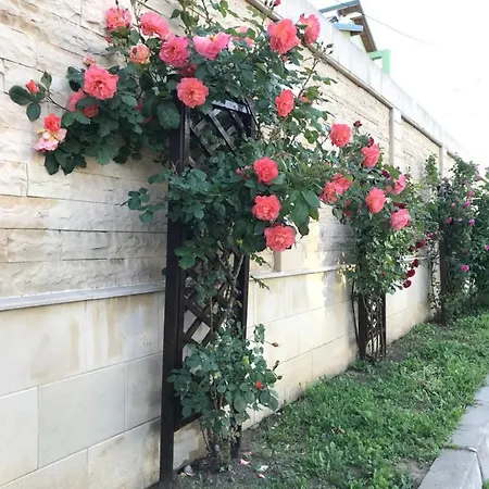 Casa Nursil Pensiune Eforie Nord