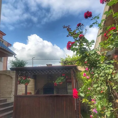 Pensiune Casa Nursil Eforie Nord