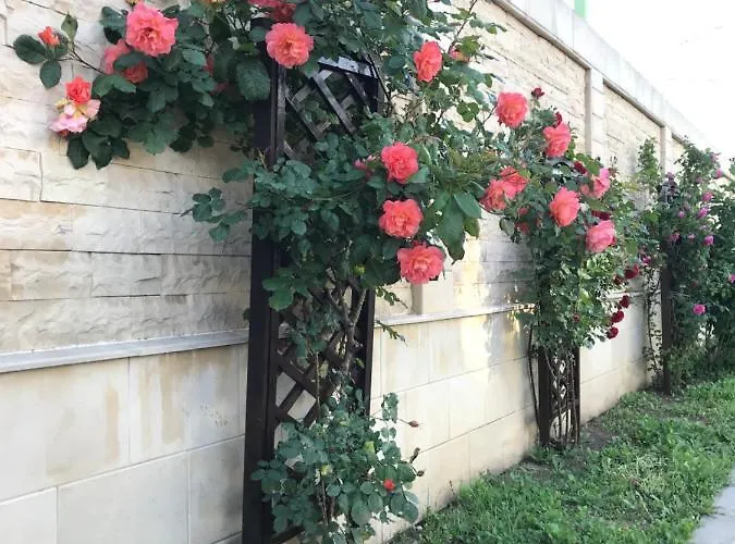 Casa Nursil 招待所 艾福雷诺德